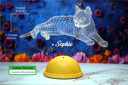 Cat Personalized 3D Led Lamp