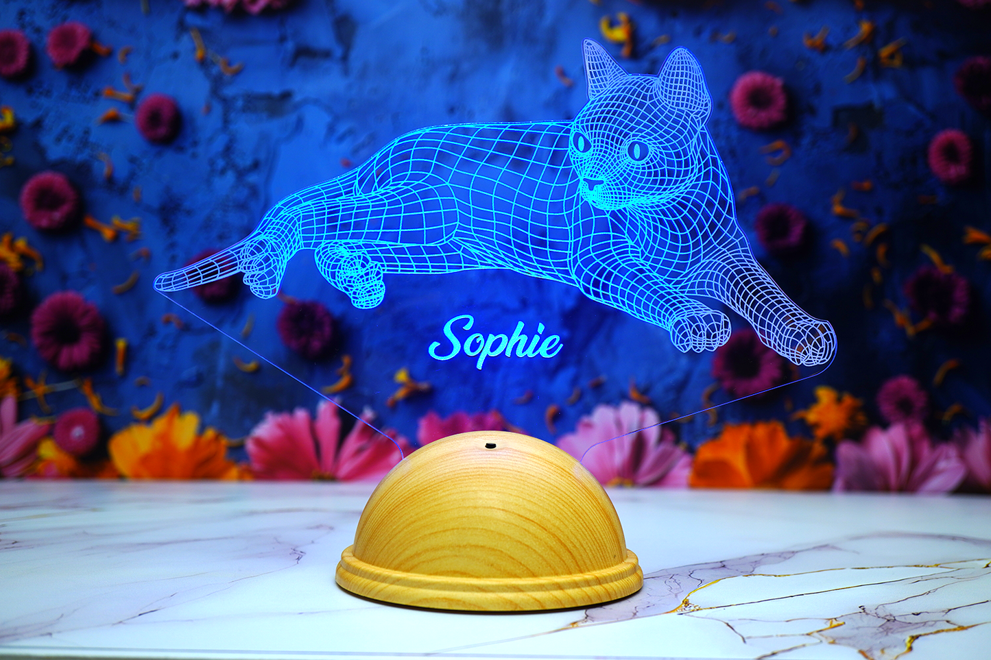 Cat Personalized 3D Led Lamp