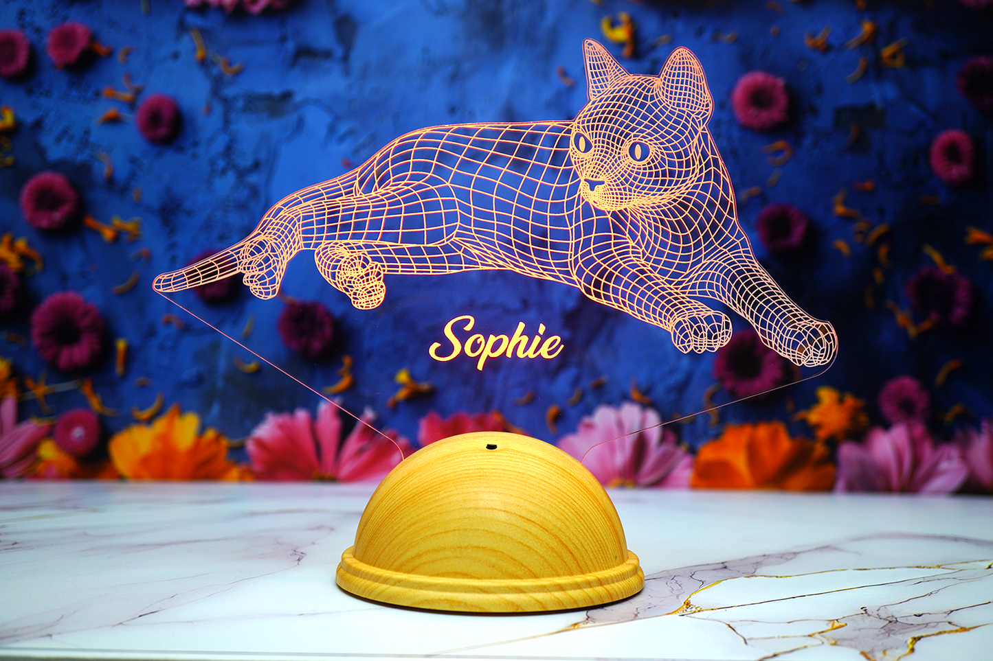 Cat Personalized 3D Led Lamp